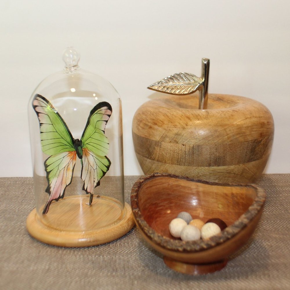 NWOT Glass Cloche Bell Jar Display Dome With Wooden Base - Picture 1 of 7